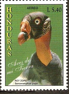 AVES  DE  MI  TIERRA.  REY  ZOPE.