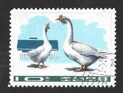 1418 - Aves de corral