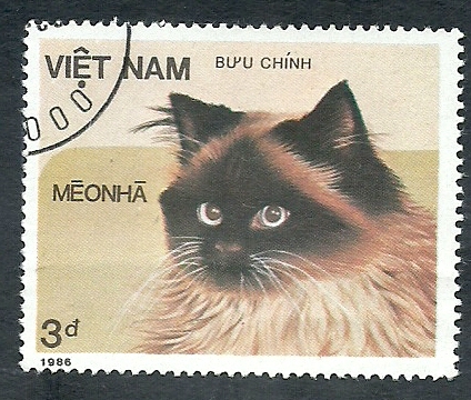 Gato
