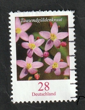 2910 - Flor, Centaurium erythraea