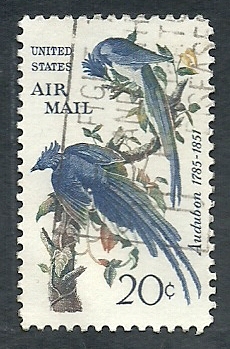 Aves