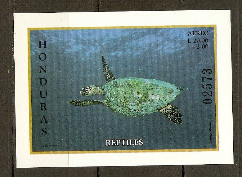  REPTILES.  HODURAS  EXFILHON  98     