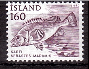 serie- Fauna marina