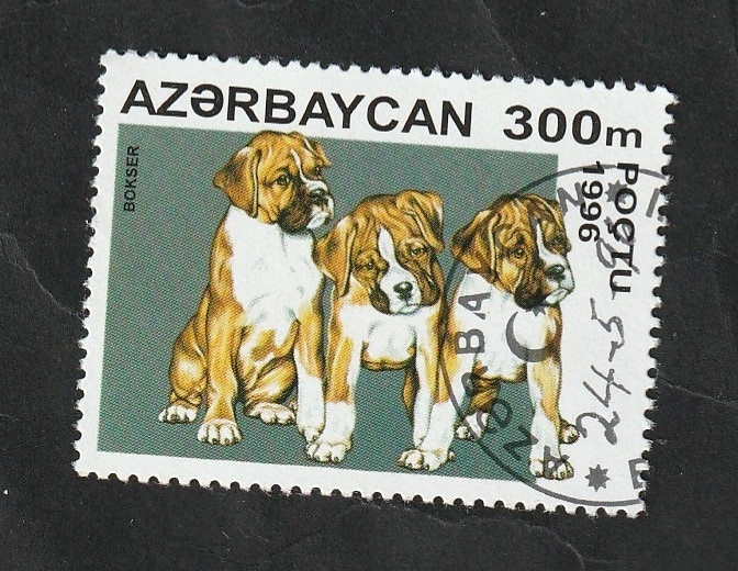 265 - Perros, Boxer alemán