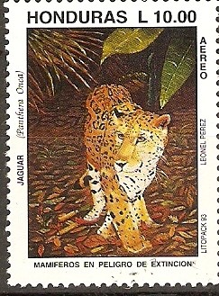 MAMÌFEROS  EN  PELIGRO  DE  EXTINCIÒN.  JAGUAR.