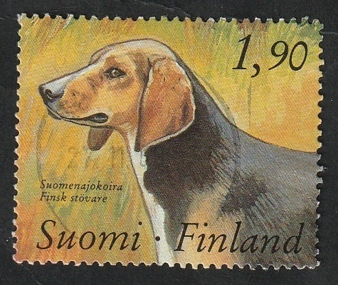 1047 - Perro, canis lupus familiaris