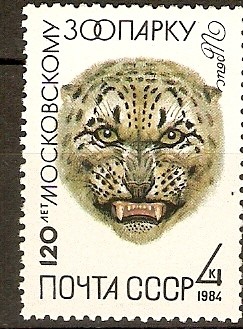 Leopardo