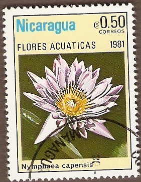 Flores  acuáticas