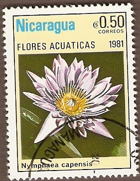 Flores  acuáticas