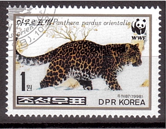 WWF- Leopardo de Amur