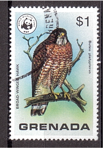 WWF- Aves salvajes de Grenada