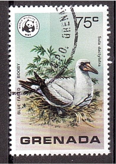 WWF- Aves salvajes de Grenada