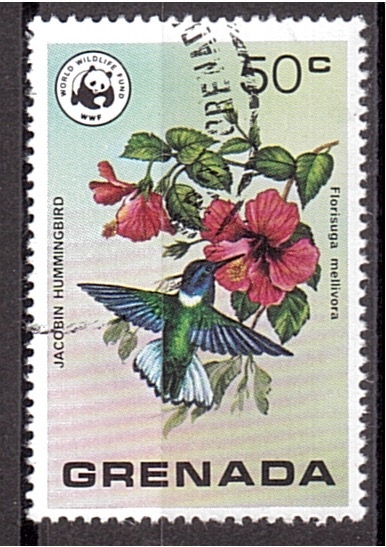 WWF- Aves salvajes de Grenada