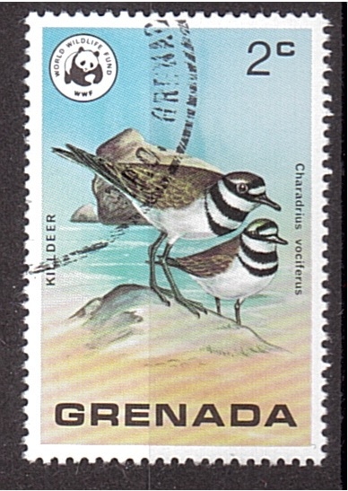 WWF- Aves salvajes de Grenada