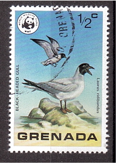 WWF- Aves salvajes de Grenada