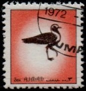 aves