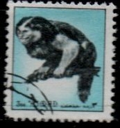 animales