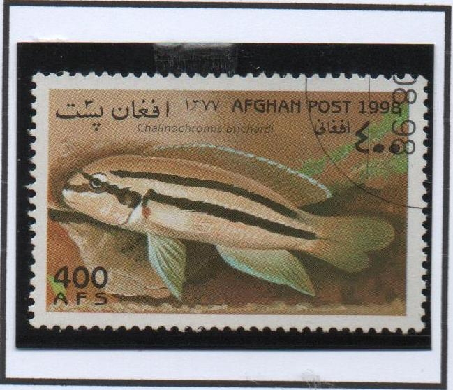 Chalichromis