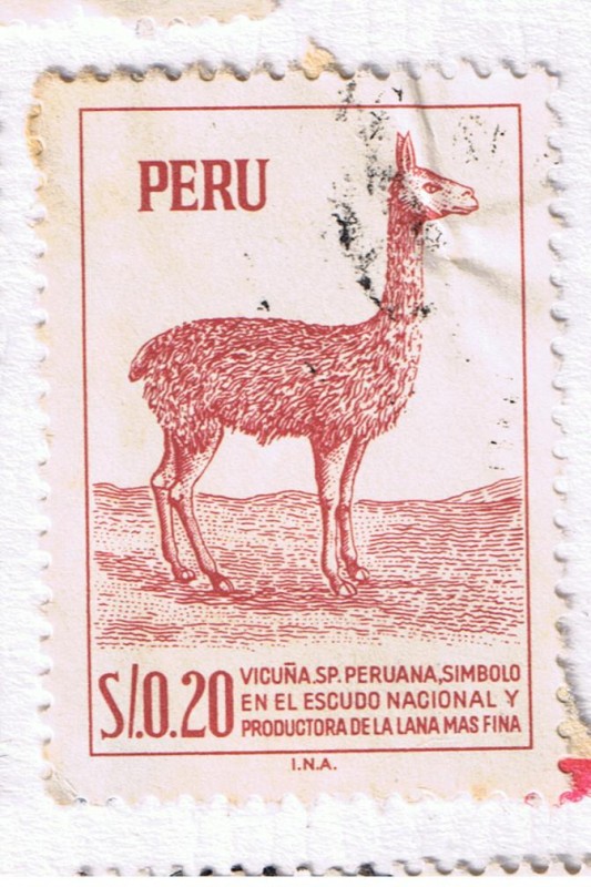 Vicuña SP simbolo del Escudo Nacional y productora de la lana más fina
