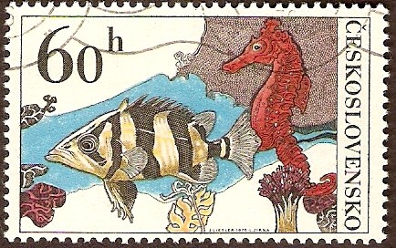 Aquarium