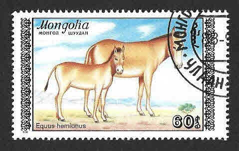 1714 - Asno Salvaje Mongol