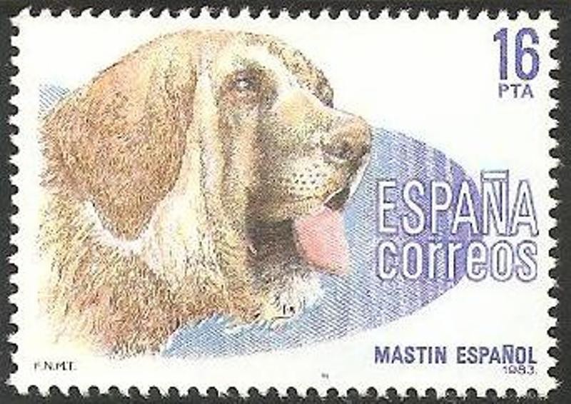 2712 - Perro de raza española, Mastín Español