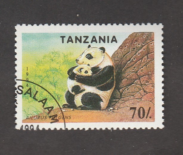 Fauna protegida:Oso panda