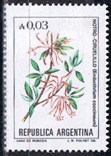 Notro-Ciruelillo