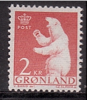 serie- Oso polar