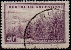 Caña d' Azucar