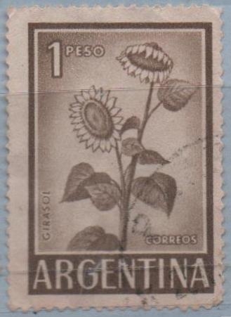 Girasol