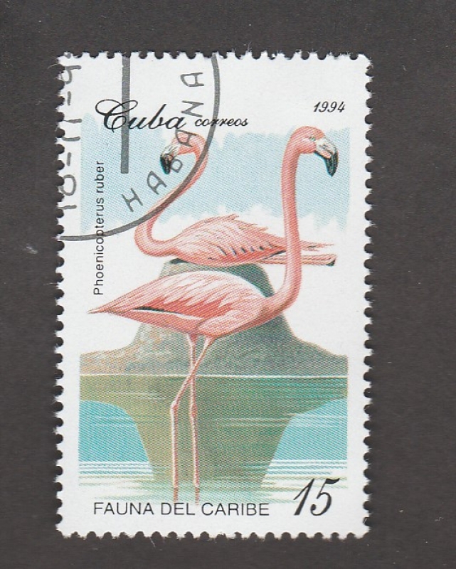 Fauna del Caribe