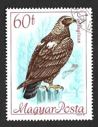 1891 - Águila Imperial