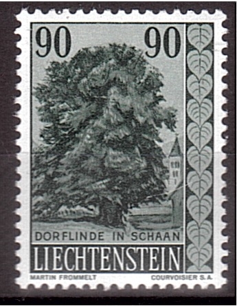 serie- Árboles- Lárice