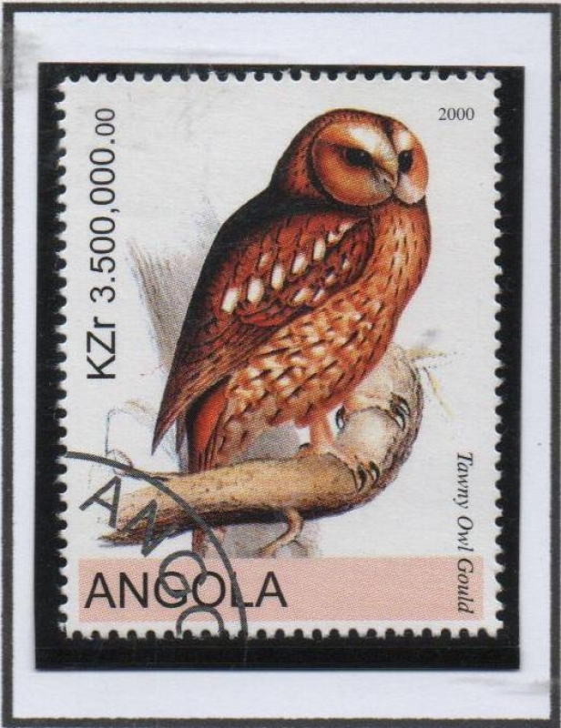 Aves: Tawny Owl Gould