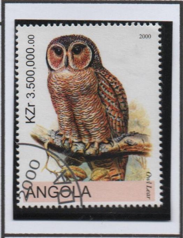 Aves: Owl Lear