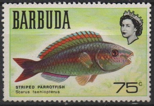 Peces: Striped Parrotfish