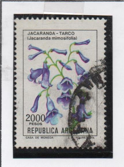 Jacarada-Tarco