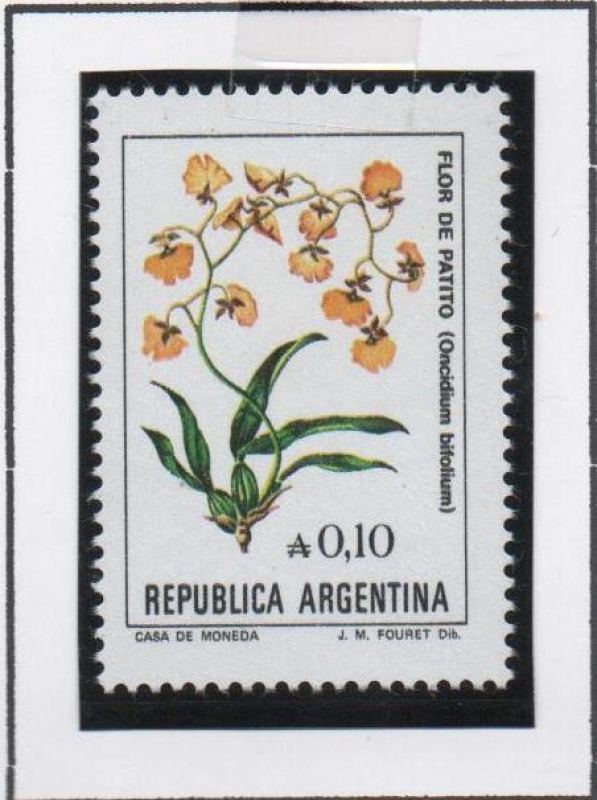 Flor d' Patito