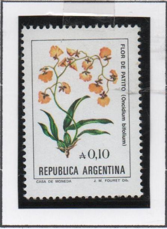 Flor d' Patito