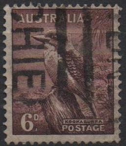Kookaburra