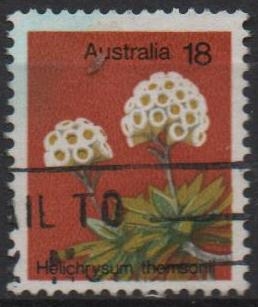Helicriso Thomsoni