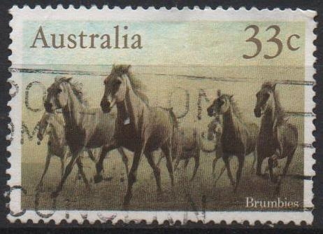 Caballos: Brumbies