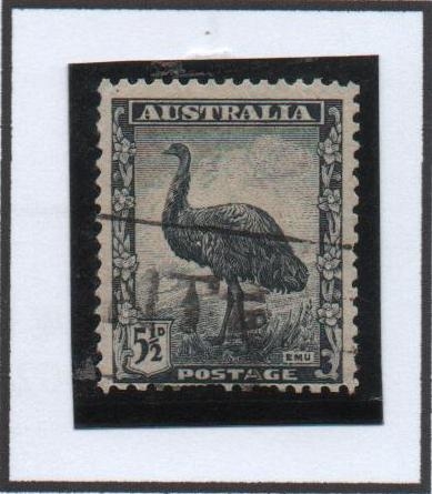 Emu