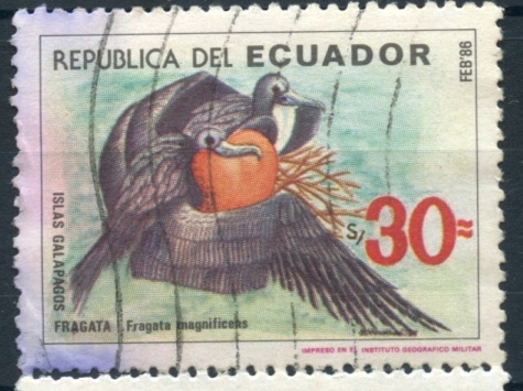 ECUADOR_SCOTT 1117.01