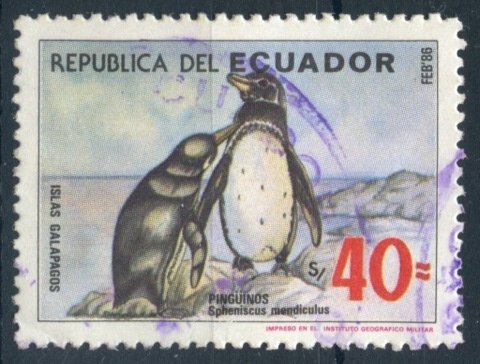 ECUADOR_SCOTT 1118.01