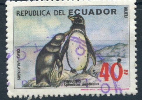 ECUADOR_SCOTT 1118.02
