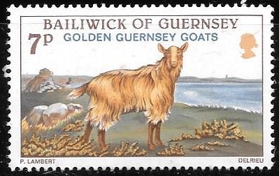 Guernsey