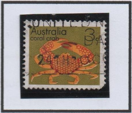 Cangrejo Coral