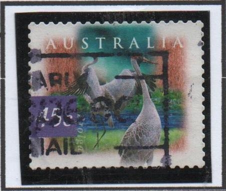 Brolga